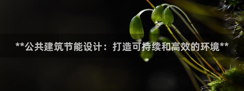 尊亿游戏国际官网：**公共建筑节能设计：打造可持续和高效的环境**