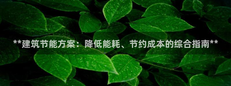 e尊国际平台：**建筑节能方案：降低能耗、节约成本的综合指南**