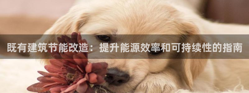 e尊国际app：既有建筑节能改造：提升能源效率和可持续性的指南
