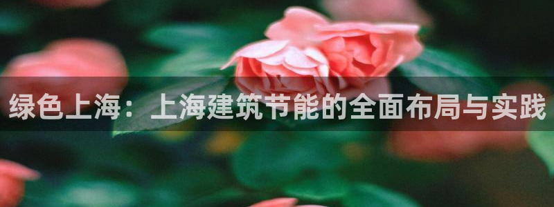 e尊国际平台：绿色上海：上海建筑节能的全面布局与实践