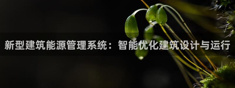 E尊国际：新型建筑能源管理系统：智能优化建筑设计与运行
