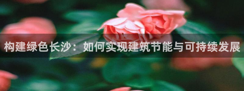 e尊国际是干什么的：构建绿色长沙：如何实现建筑节能与可持续发展