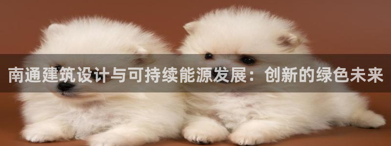 e尊国际官网app：南通建筑设计与可持续能源发展：创新的绿色未来