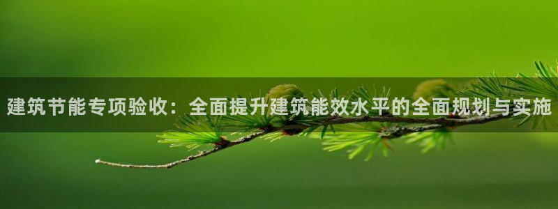 e尊国际平台：建筑节能专项验收：全面提升建筑能效水平的全面规划与实施