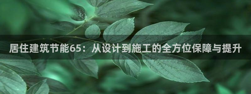 e尊国际是个黑网：居住建筑节能65：从设计到施工的全方位保障与提升