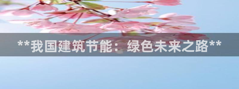 e尊电竞：**我国建筑节能：绿色未来之路**