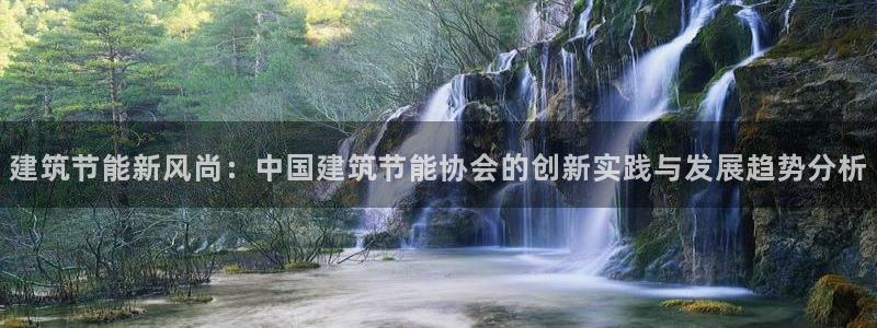 谁知道e尊国际的网址：建筑节能新风尚：中国建筑节能协会的创新实践与发展趋势分析