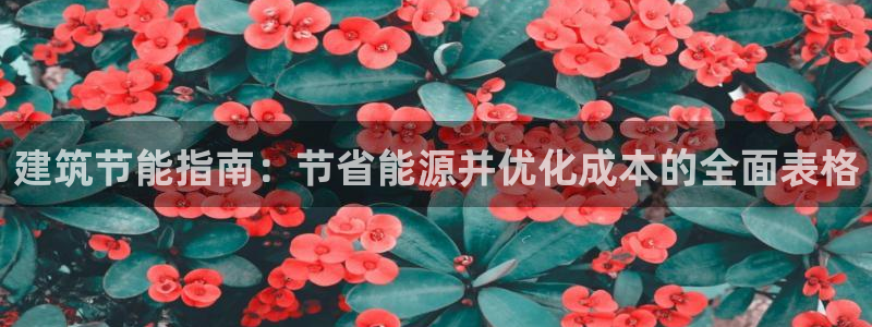 e尊电竞：建筑节能指南：节省能源并优化成本的全面表格