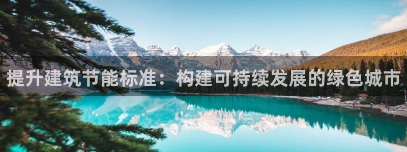 e尊国际是干什么的：提升建筑节能标准：构建可持续发展的绿色城市