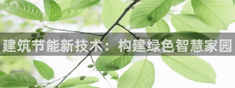 e尊国际app：建筑节能新技术：构建绿色智慧家园