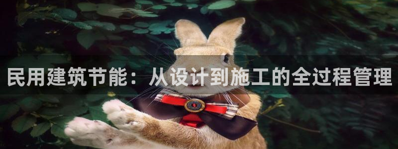 e尊国际官网app：民用建筑节能：从设计到施工的全过程管理