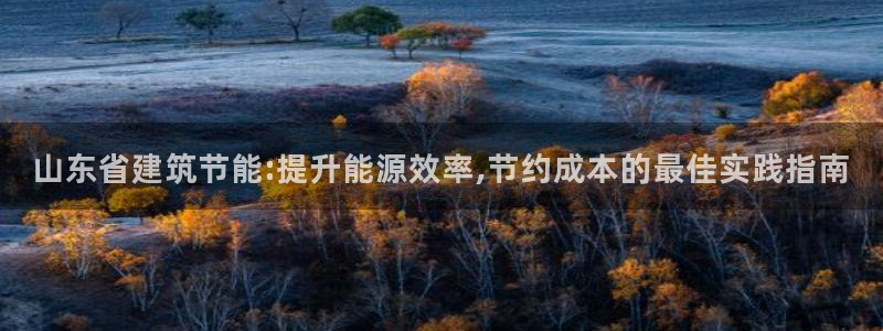e尊电竞：山东省建筑节能:提升能源效率,节约成本的最佳实践指南