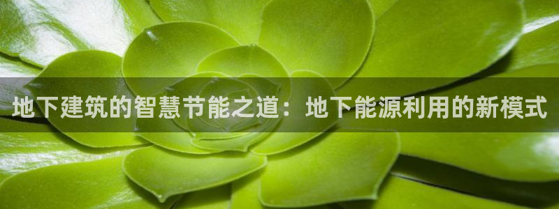 谁知道e尊国际的网址：地下建筑的智慧节能之道：地下能源利用的新模式