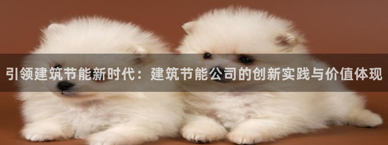 e尊国际官网·网址：引领建筑节能新时代：建筑节能公司的创新实践与价值体现