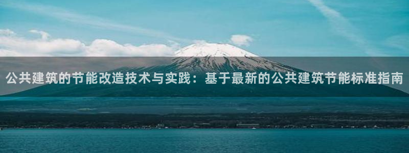 e尊国际的手机登录网站：公共建筑的节能改造技术与实践：基于最新的公共建筑节能标准指南