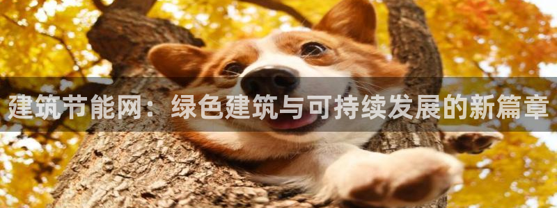 E尊国际：建筑节能网：绿色建筑与可持续发展的新篇章