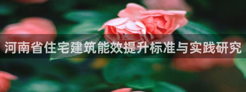 e尊国际可靠吗：河南省住宅建筑能效提升标准与实践研究