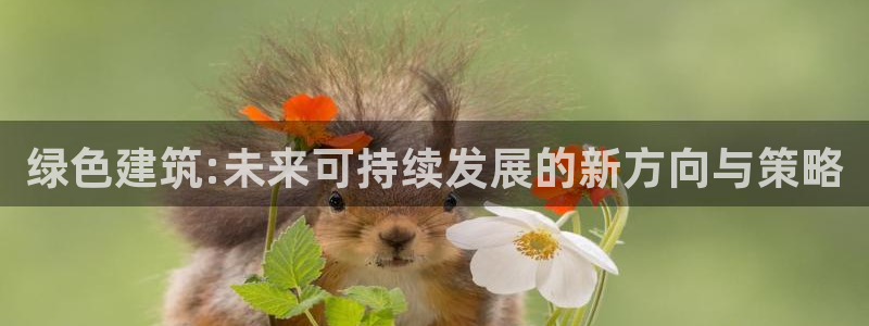 e尊国际的手机登录网站：绿色建筑:未来可持续发展的新方向与策略