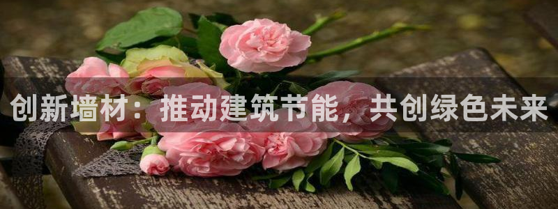 e尊国际客户端下载：创新墙材：推动建筑节能，共创绿色未来