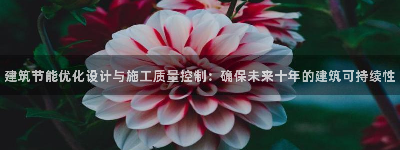 e尊国际-e尊国际官网：建筑节能优化设计与施工质量控制：确保未来十年的建筑可持续性