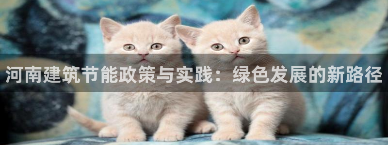 e尊国际官网app：河南建筑节能政策与实践：绿色发展的新路径
