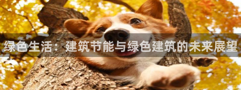 e尊国际娱乐官网地址：绿色生活：建筑节能与绿色建筑的未来展望
