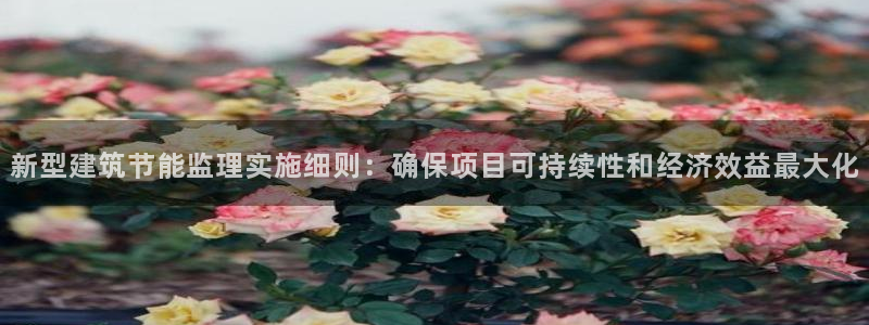 e尊国际官网：新型建筑节能监理实施细则：确保项目可持续性和经济效益最大化