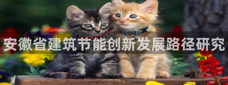 尊亿娱乐国际官网：安徽省建筑节能创新发展路径研究