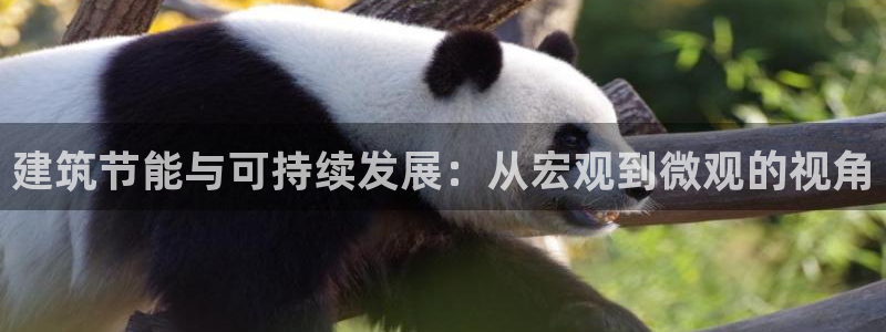 e尊国际官方网站：建筑节能与可持续发展：从宏观到微观的视角