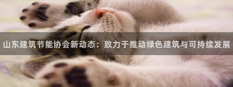 e尊国际7779：山东建筑节能协会新动态：致力于推动绿色建筑与可持续发展