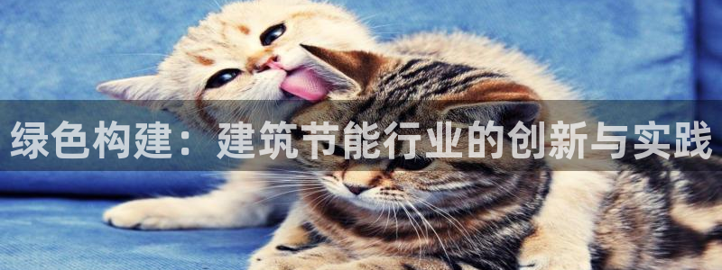 e尊国际娱乐官网下载：绿色构建：建筑节能行业的创新与实践