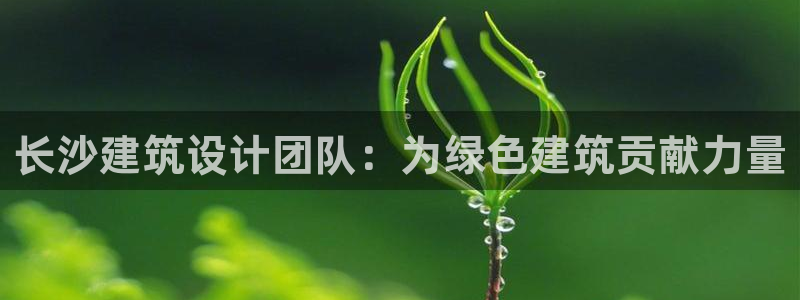 e尊国际娱乐官网下载：长沙建筑设计团队：为绿色建筑贡献力量