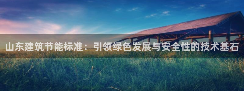 E尊国际网站：山东建筑节能标准：引领绿色发展与安全性的技术基石