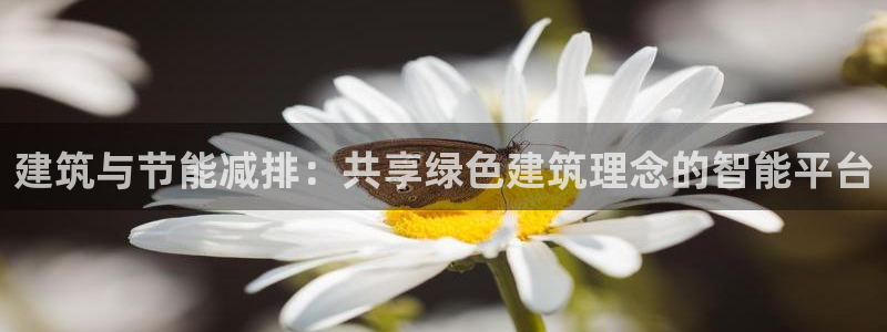 E尊国际网站：建筑与节能减排：共享绿色建筑理念的智能平台
