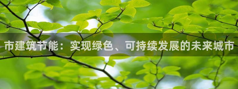 e尊国际地址：市建筑节能：实现绿色、可持续发展的未来城市