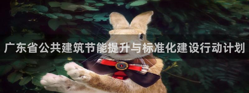 谁知道e尊国际的网址：广东省公共建筑节能提升与标准化建设行动计划