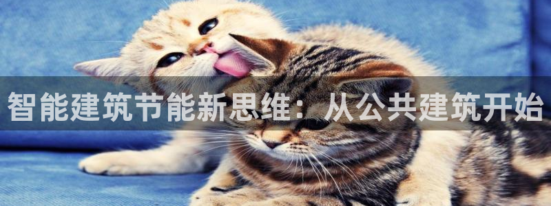 尊亿娱乐国际官网