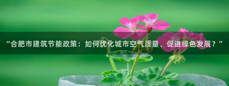 e尊国际官网·网址：“合肥市建筑节能政策：如何优化城市空气质量、促进绿色发展？”
