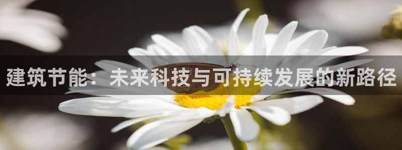 e尊国际平台：建筑节能：未来科技与可持续发展的新路径