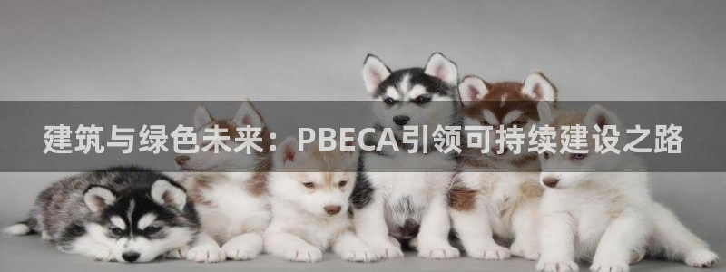 e尊国际-可可计划：建筑与绿色未来：PBECA引领可持续建设之路