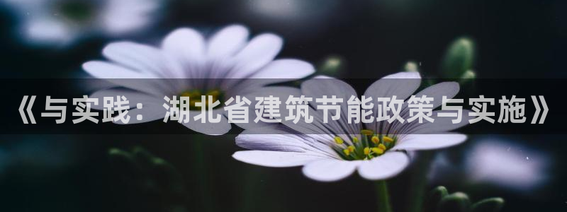 e尊国际app：《与实践：湖北省建筑节能政策与实施》