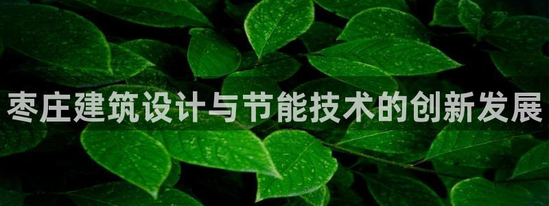 e尊国际的手机登录网站：枣庄建筑设计与节能技术的创新发展