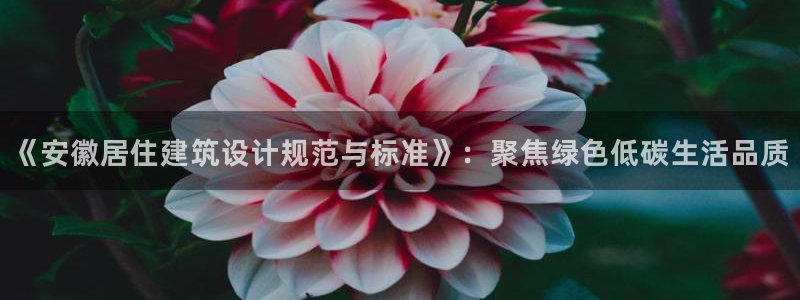 e尊体育：《安徽居住建筑设计规范与标准》：聚焦绿色低碳生活品质