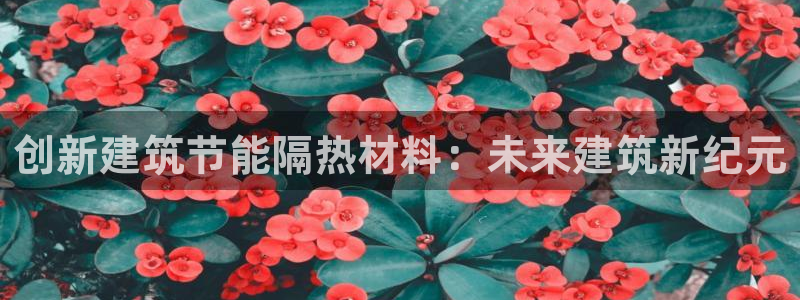 e尊国际app：创新建筑节能隔热材料：未来建筑新纪元