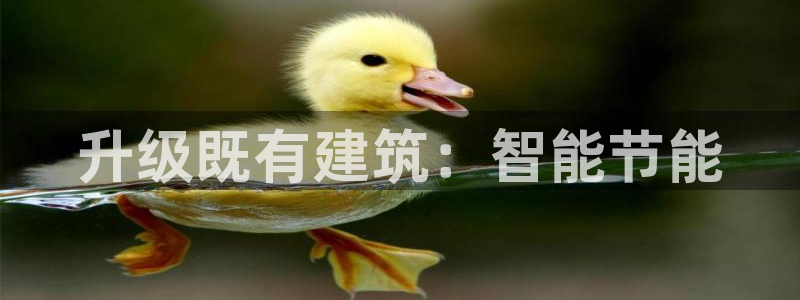 E尊国际网站：升级既有建筑：智能节能