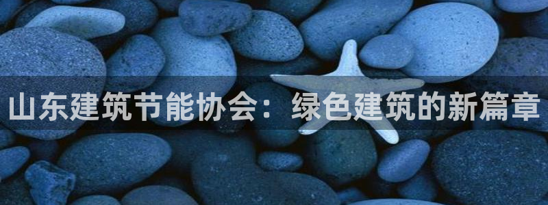 e尊国际可靠吗：山东建筑节能协会：绿色建筑的新篇章