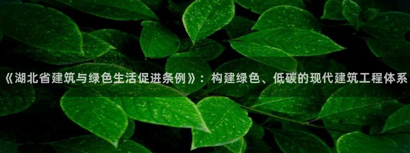 e尊国际客服：《湖北省建筑与绿色生活促进条例》：构建绿色、低碳的现代建筑工程体系