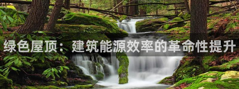 E尊国际网站：绿色屋顶：建筑能源效率的革命性提升