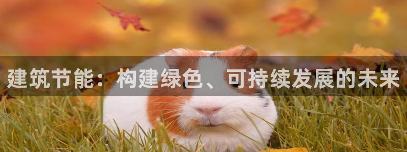 e尊国际官方网站：建筑节能：构建绿色、可持续发展的未来