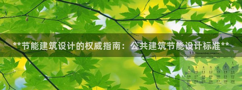 e尊国际官网app：**节能建筑设计的权威指南：公共建筑节能设计标准**